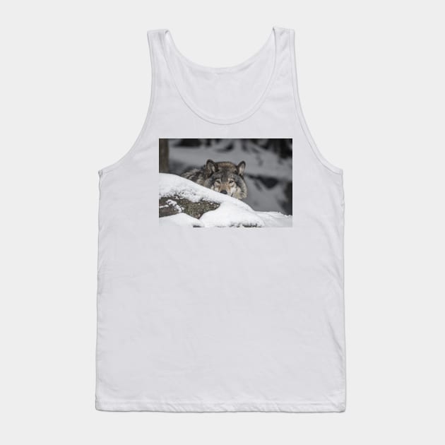 Eastern Gray Wolf Tank Top by jaydee1400